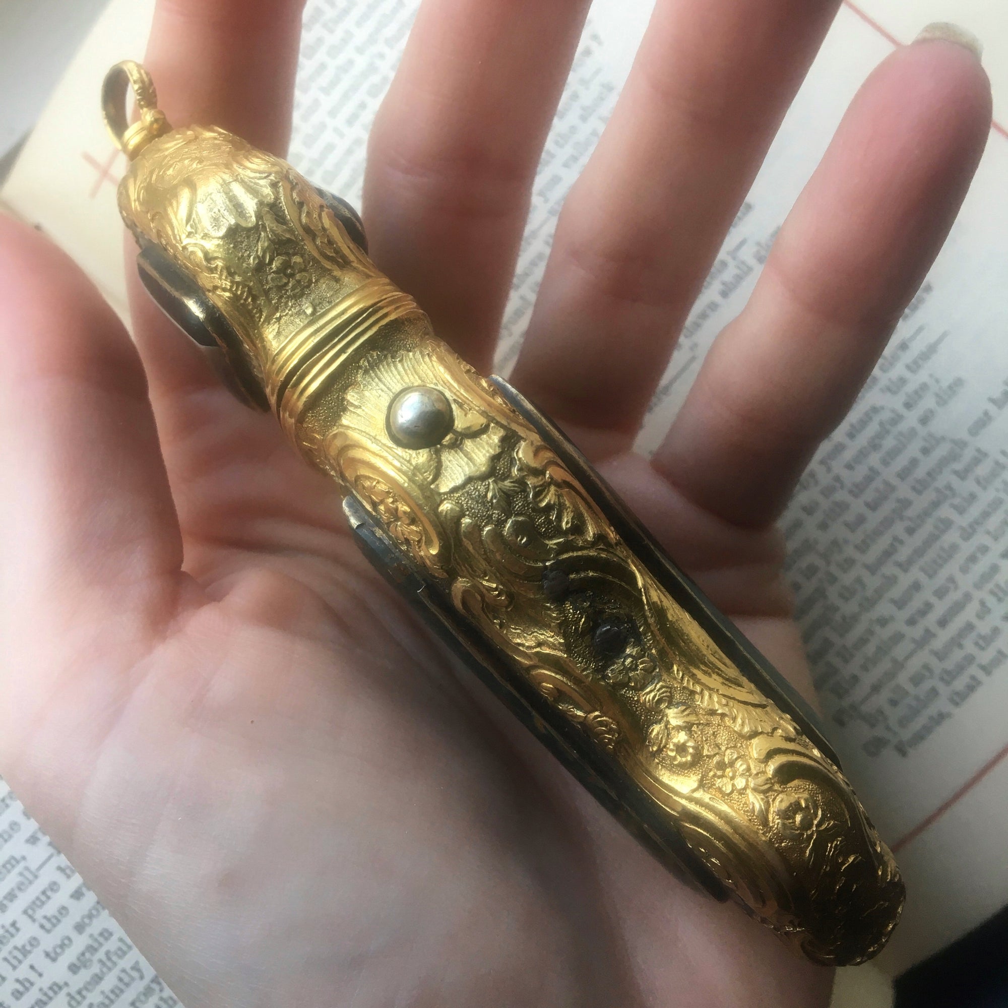 Antique Rococo Bloodstone Étui