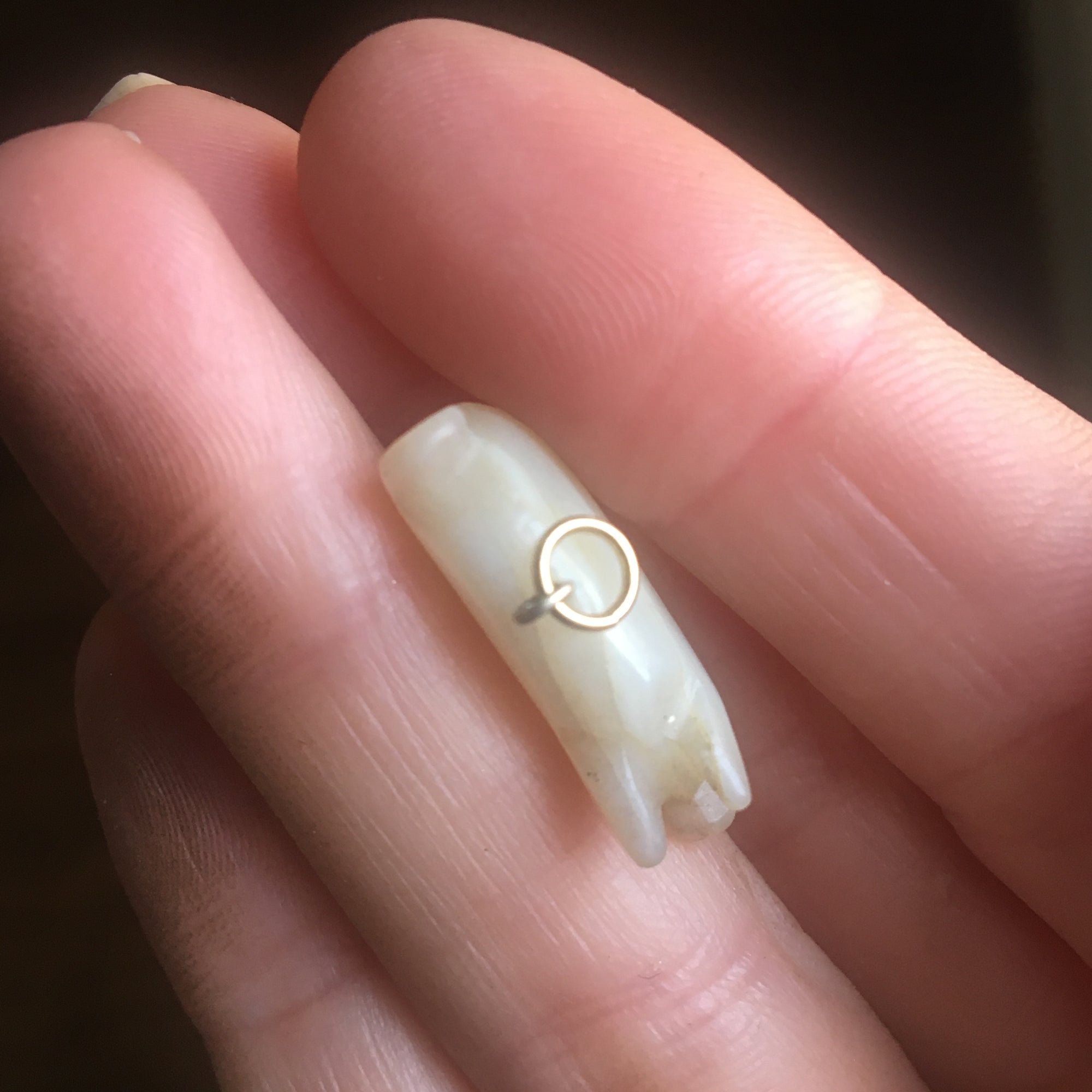 Antique Victorian Lucky Pig Charm