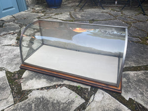 antique curved glass display case