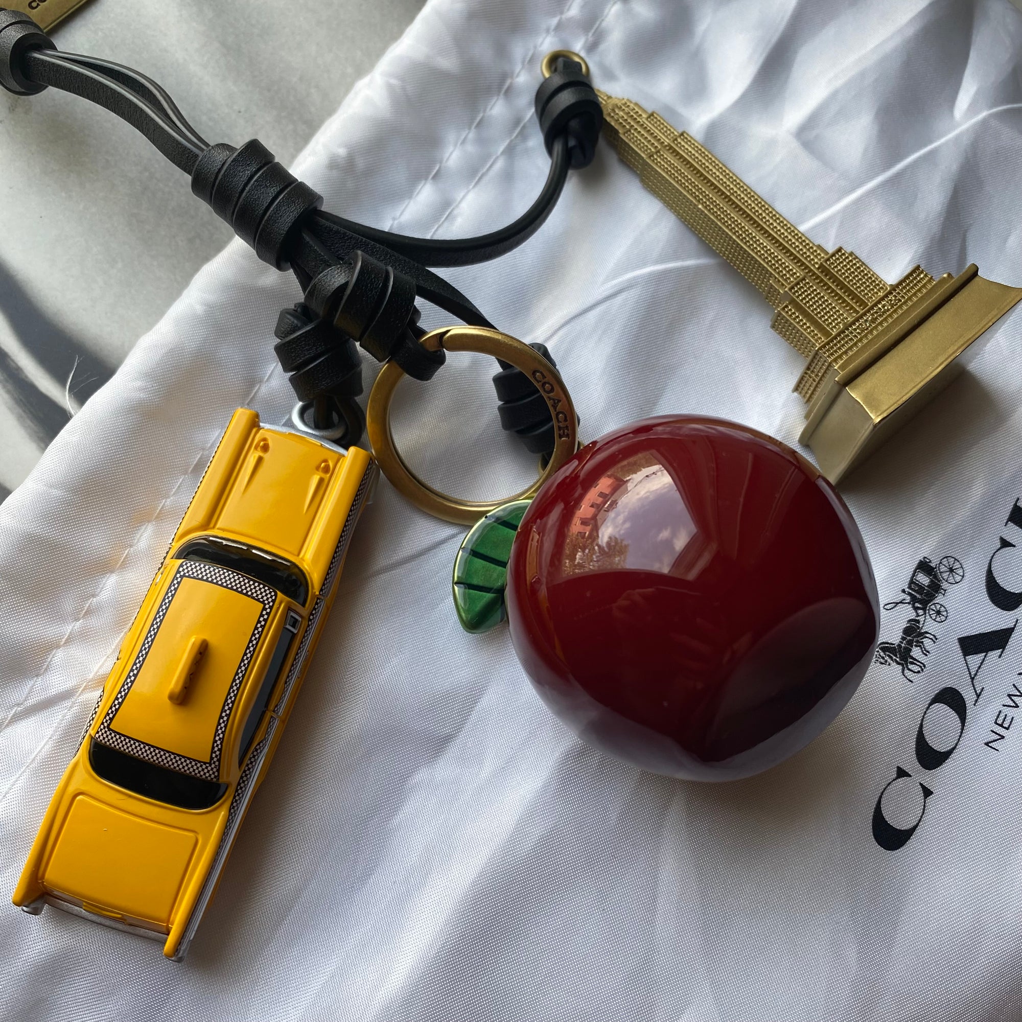 coach nyc bag tag