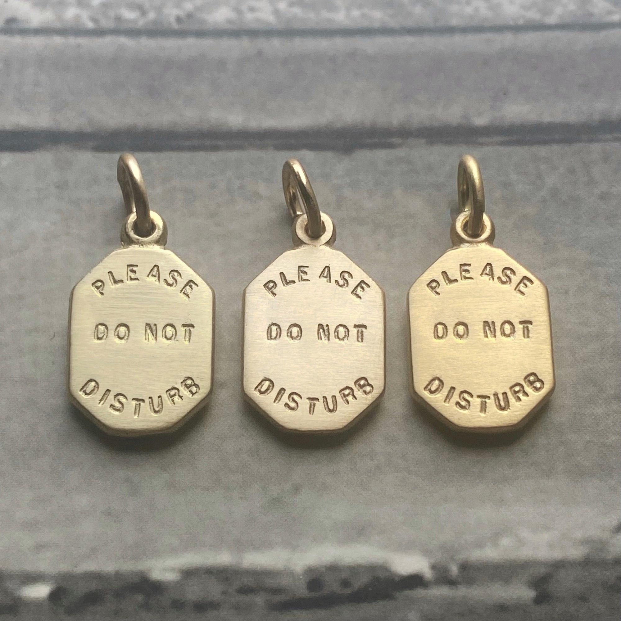 Please do not disurb charm