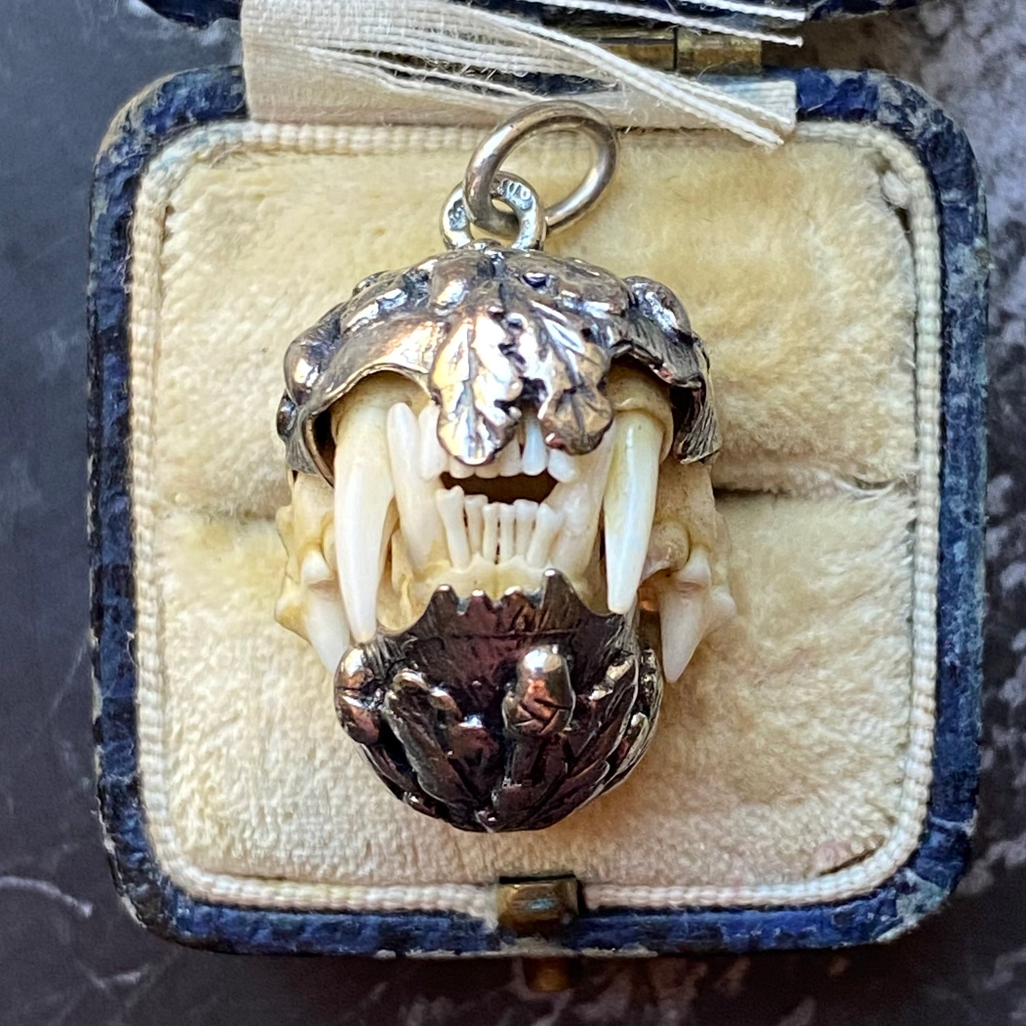 antique charivari