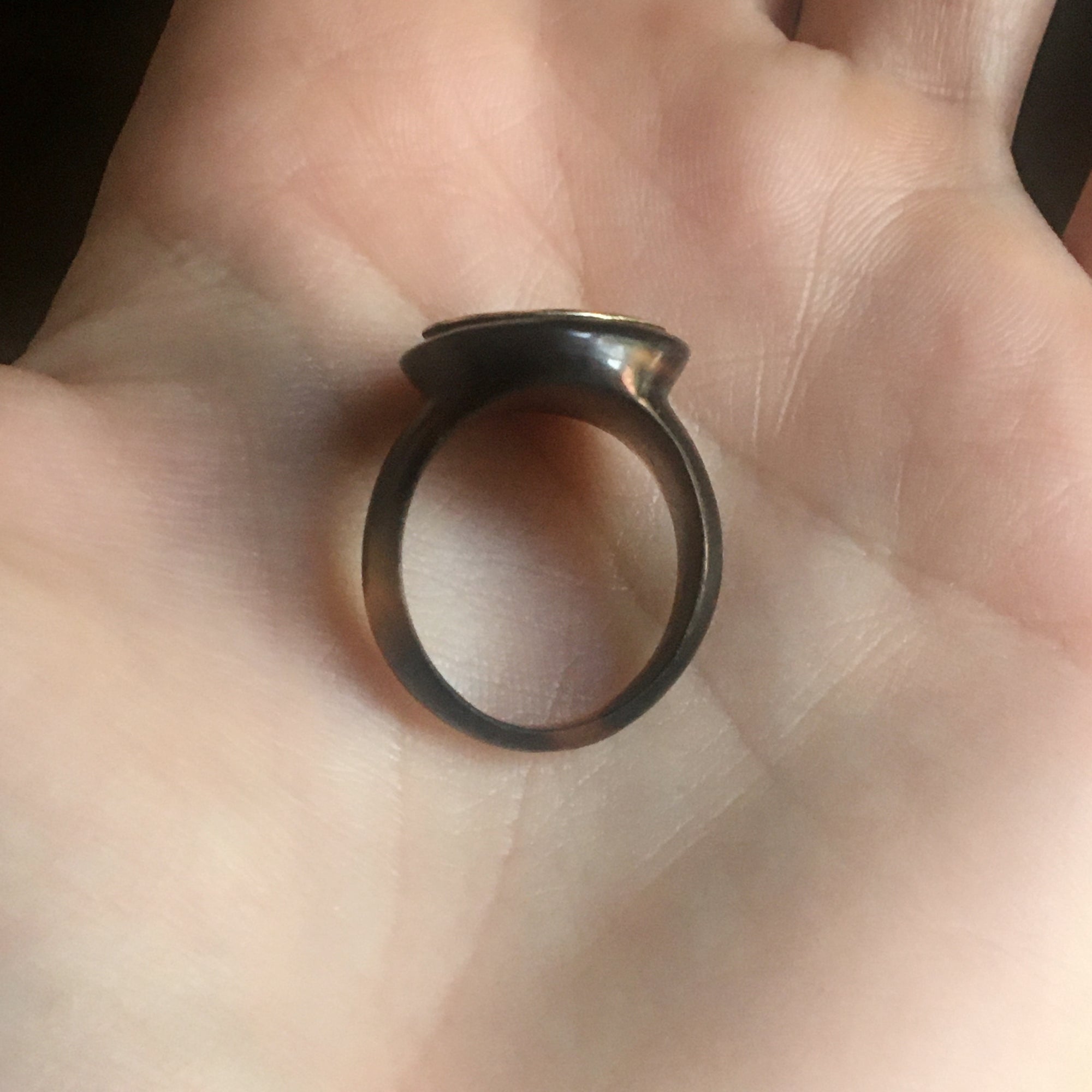 Antique Tortoiseshell Hairwork Ring - Size 5.75