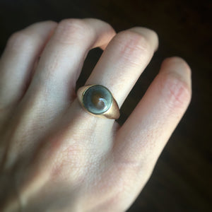 toadstone ring